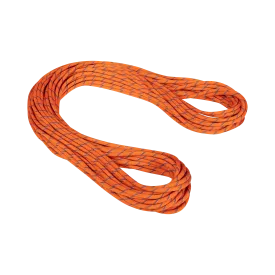 9.0 Alpine Sender Dry Rope