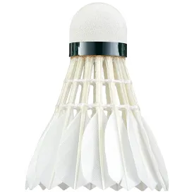 Aerosensa 30 Feather Dozen
