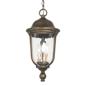 Havenwood 3 lights 10 in. Outdoor Hanging Lantern Bronze & Silver finish