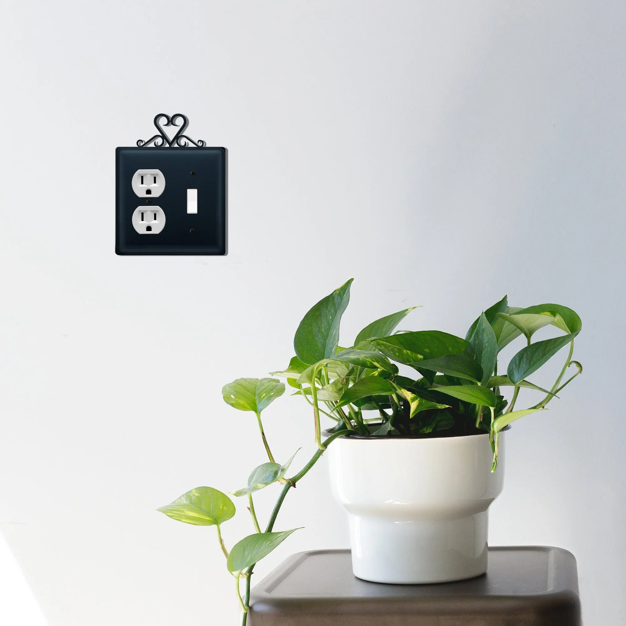 Heart Single Outlet and Switch Cover
