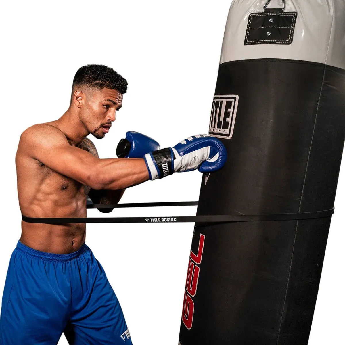 Title Boxing Inside Fighting Resistance Trainer