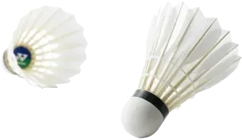 Yonex Aerosensa 40 Feather Shuttlecocks